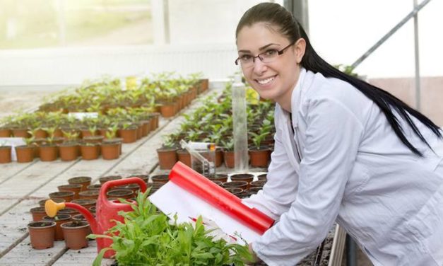 <strong>What Can You Do With An Agriculture Degree</strong>